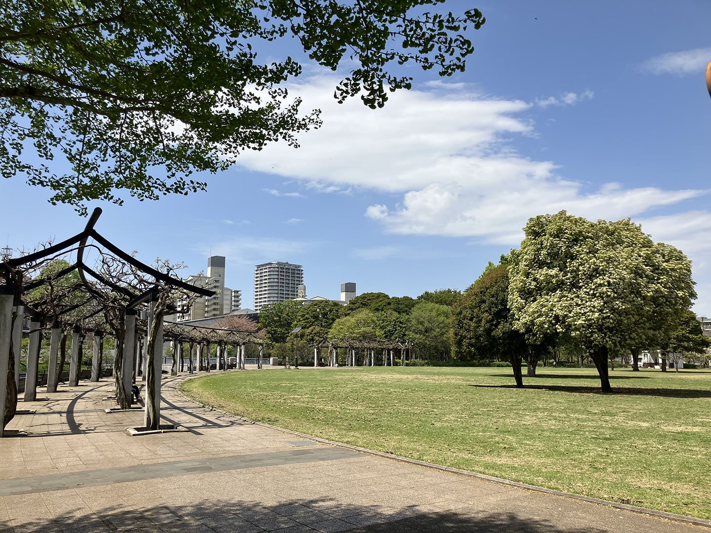 🏞️ 무사시 고쿠분지 공원 이미지 5